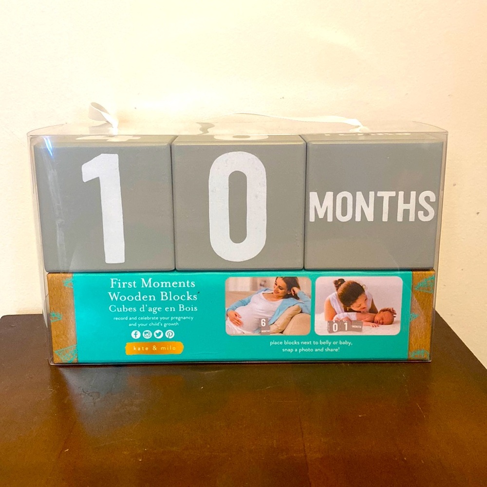 Milestone Blocks: pregnancy and baby months